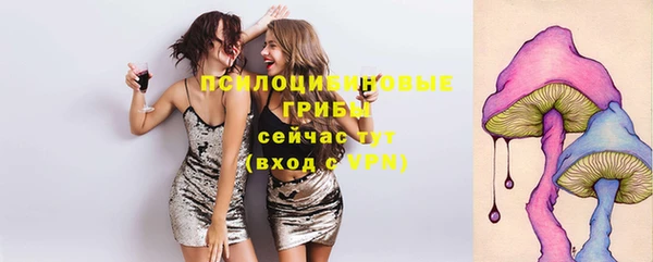 ешки Армянск