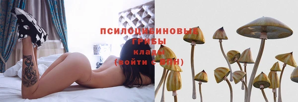 мдпв Арсеньев