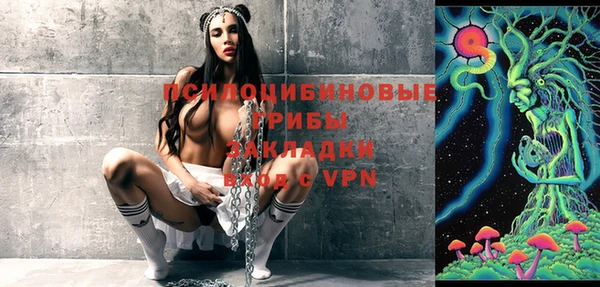 тгк Аркадак
